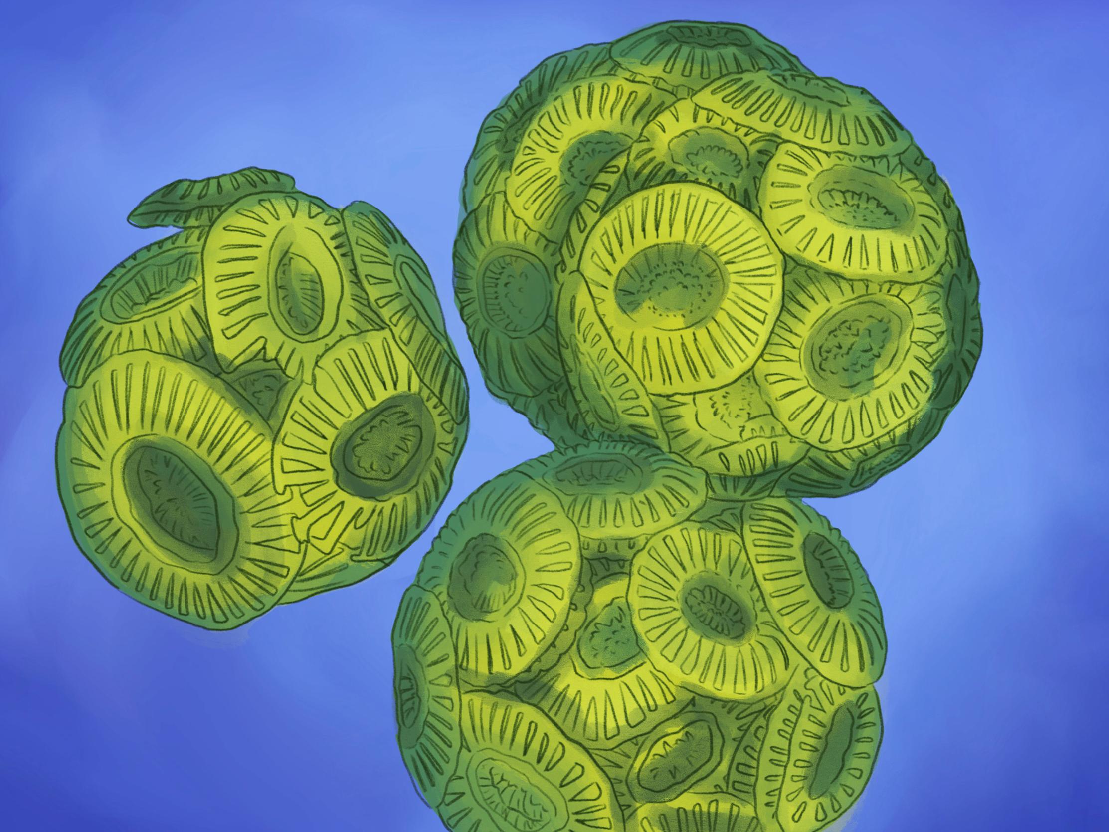Feature image