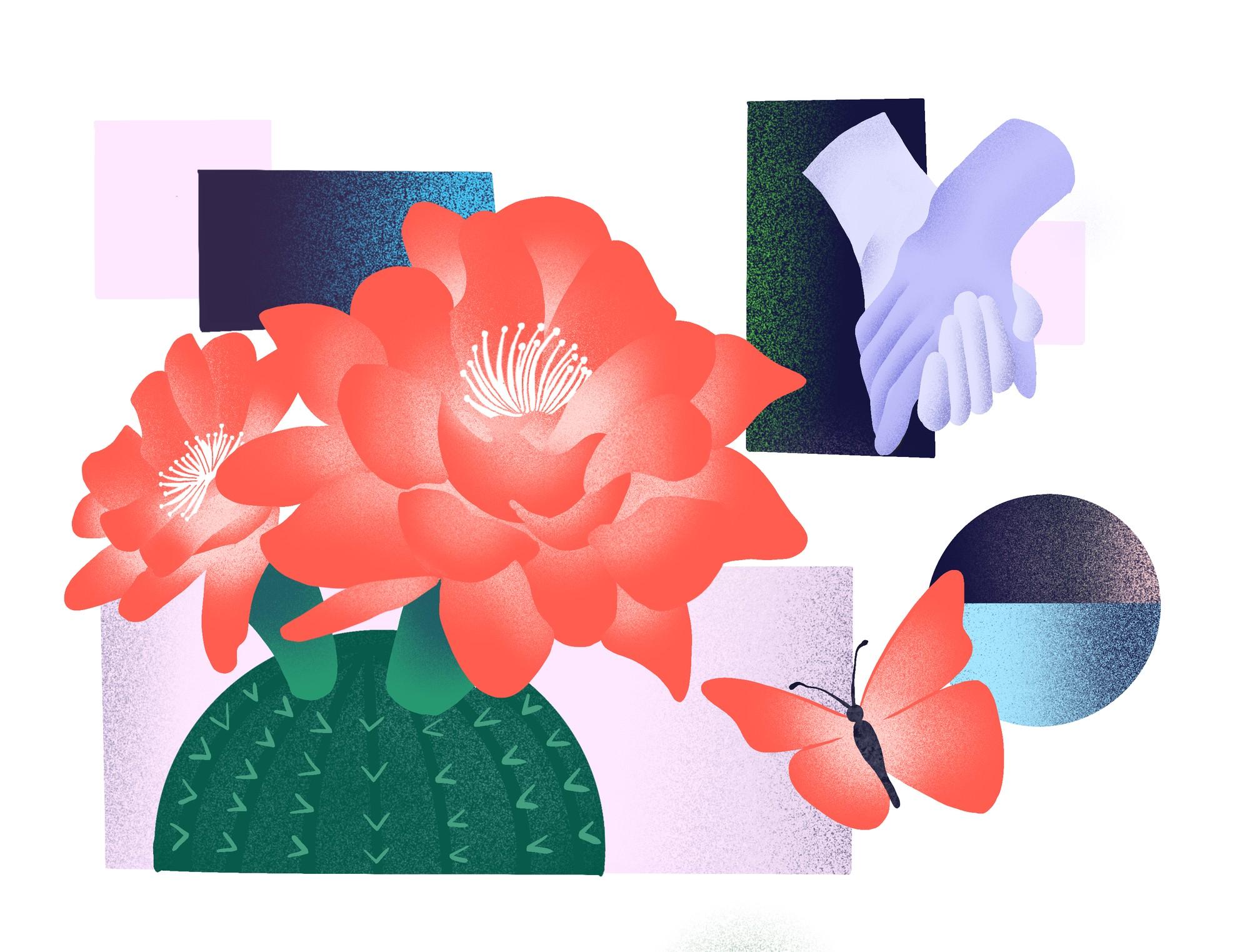 Feature image