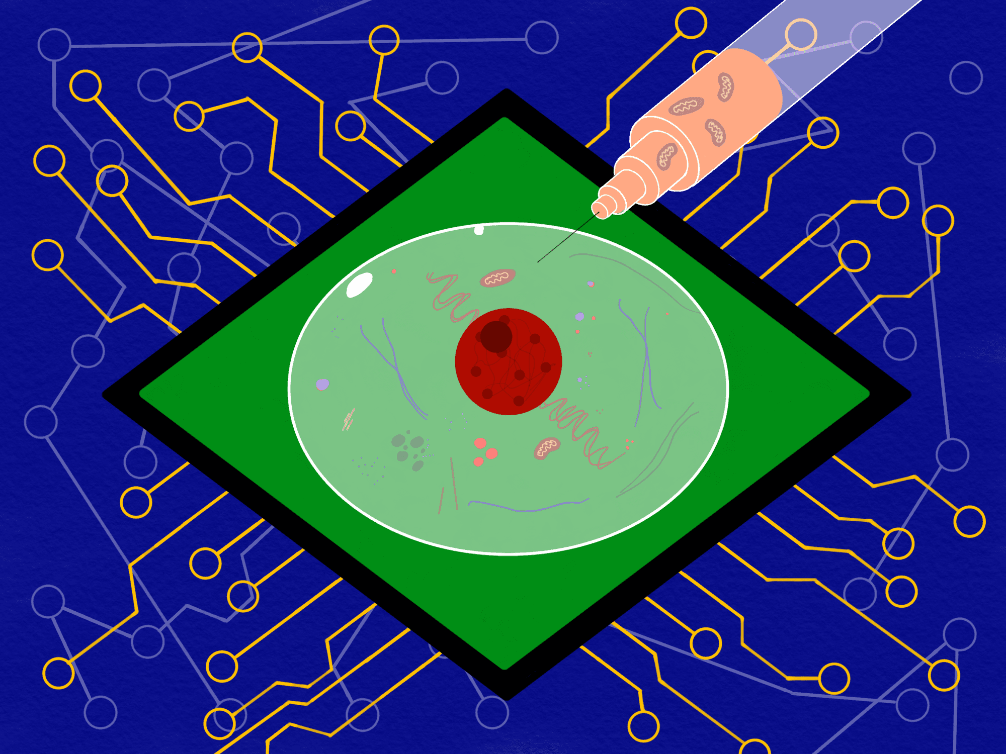 Feature image
